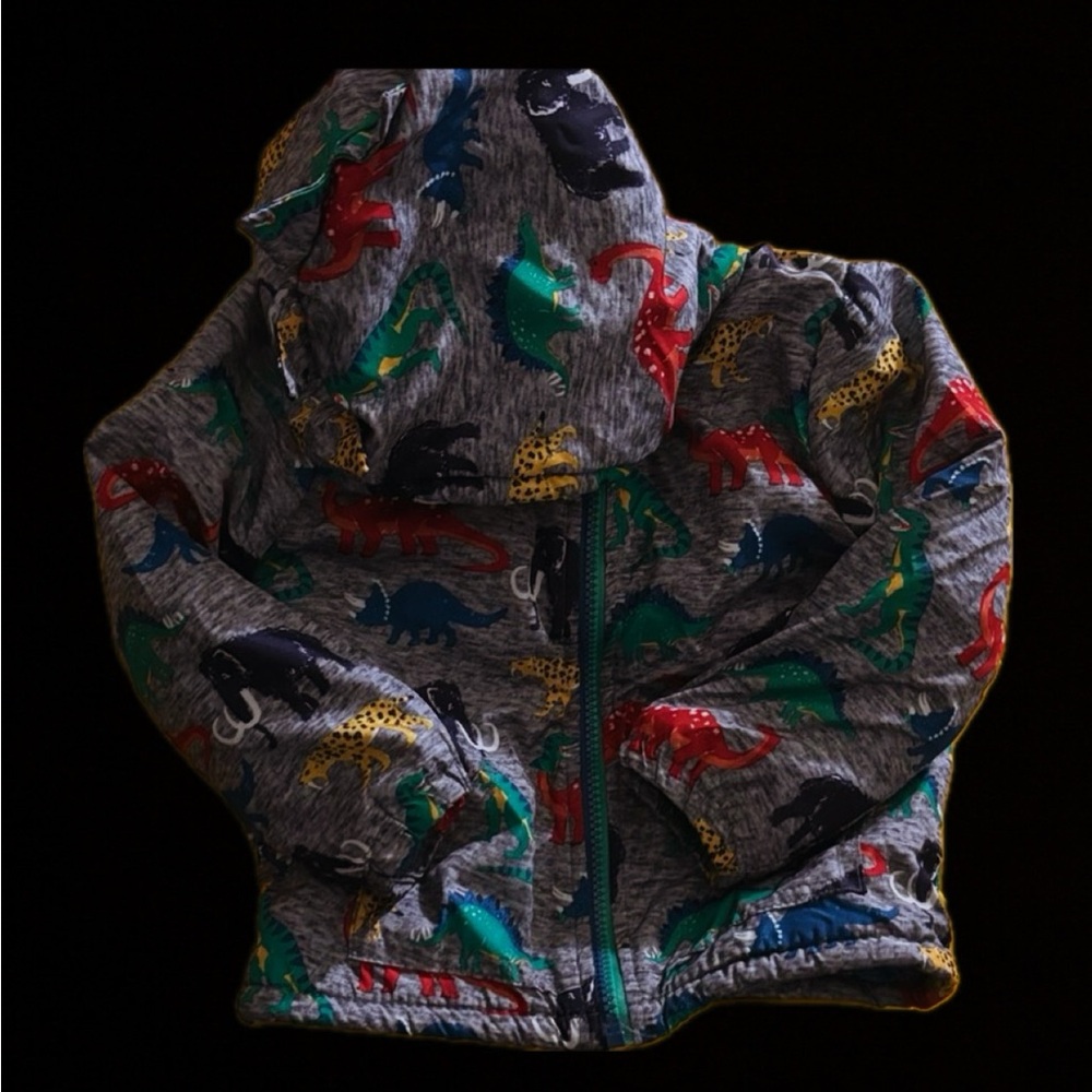 Mick Mack Dinosaur Print Hoodie